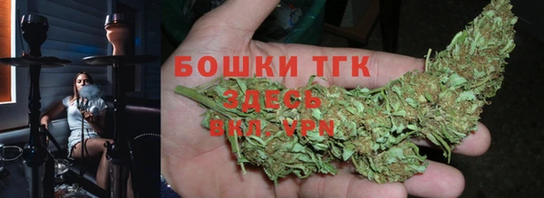 дмт Надым